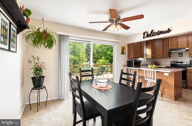 29 Bernadotte Ct, Parkville, MD 21234 - photo 6