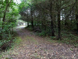 Rolling Meadows (7)