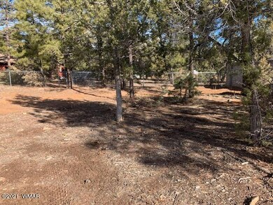 0 N Canyon Loop unit 234032, Show Low, AZ 85901 - photo 3