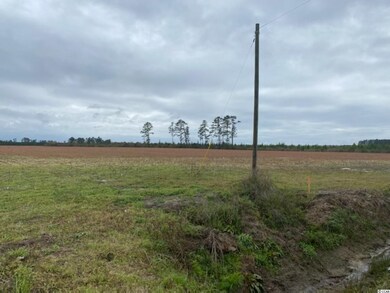 TBD Persimmon Rd unit Lot 7, Aynor, SC 29511 - photo 4