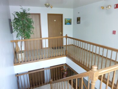 310 Village Creek Dr unit 2C, Lake In the Hills, IL 60156 - photo 3