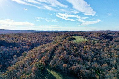 31025 Highway 263, Mountain View, AR 72560 - photo 3