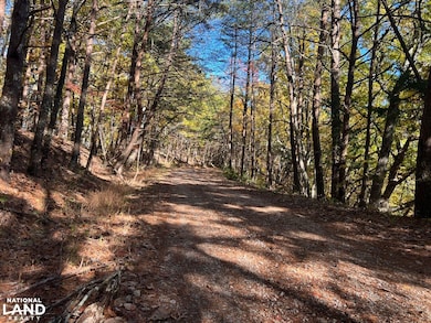 0 Polly Mountain Rd unit 25503304, Madisonville, TN 37385 - photo 5