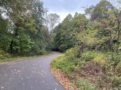 TBD Bandy Rd Whitaker Ridge Area, Bandy, VA 24602 - photo 6