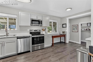 Walk-in pantry & walk-out to back patio