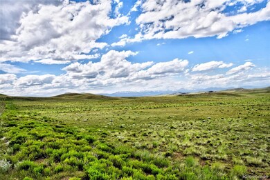 1341 Xtha Trail, Hartsel, CO 80449 - photo 4