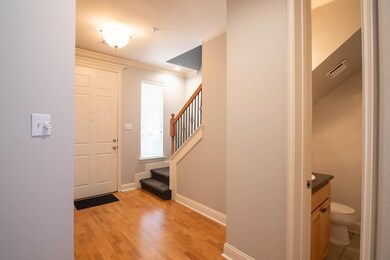 Entrance foyer with ornamental molding and light h