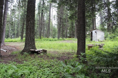 443 David Creek Rd, Cascade, ID 83611 - photo 3