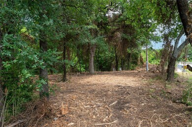 View of local wilderness