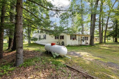 1267 W Channel St, Bitely, MI 49309 - photo 4