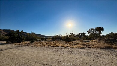 771 Scarvan Rd, Yucca Valley, CA 92284 - photo 5