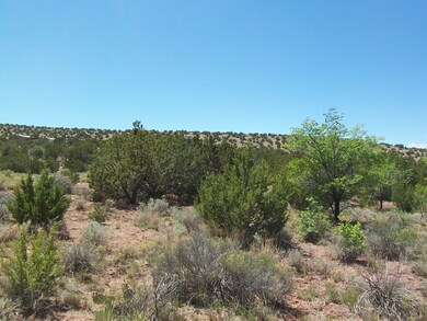 788 Highway 165, Placitas, NM 87043 - photo 6