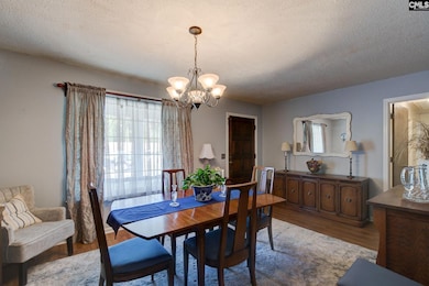 313 Harleston Rd, Irmo, SC 29063 - photo 5