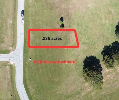 10 Toscana Cir, Gordonville, TX 76245 - photo 4