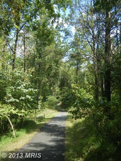 12410 Regiment Ln, Fredericksburg, VA 22407 - photo 5