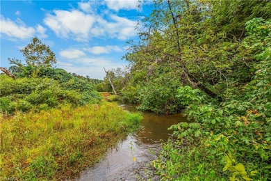 752 Joe Layne Mill Rd, Elkin, NC 28621 - photo 5