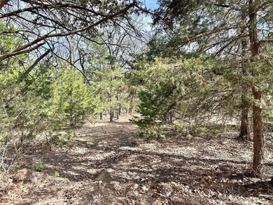 2.26 Acres County Road 262, Gainesville, TX 76240 - photo 6