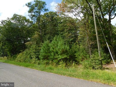 0 Placid Rd unit VAWE2003164, Colonial Beach, VA 22443 - photo 3