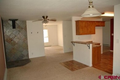 0 Cr-4s unit 662573, Alamosa, CO 81101 - photo 4