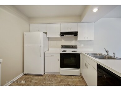 4506 Kings Walk Dr unit 2A, Rolling Meadows, IL 60008 - photo 4