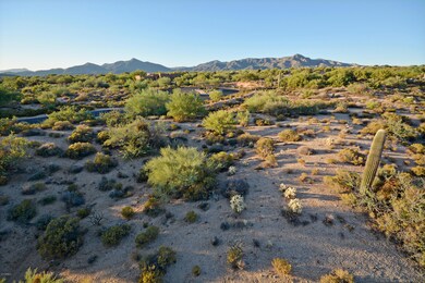 38801 N 107th Way Lot 21-print-005-12-th