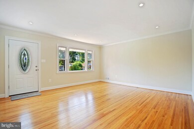 11301 Mapleview Dr, Silver Spring, MD 20902 - photo 4