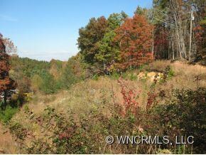 168 Moores Valley Rd, Leicester, NC 28748 - photo 4