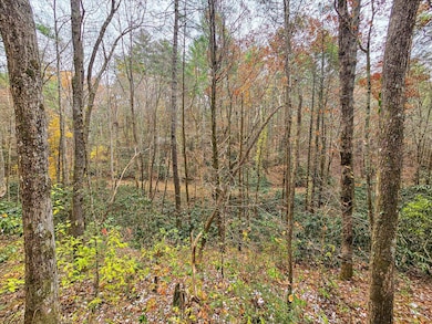 138 Bowater Rd, Tellico Plains, TN 37385 - photo 7