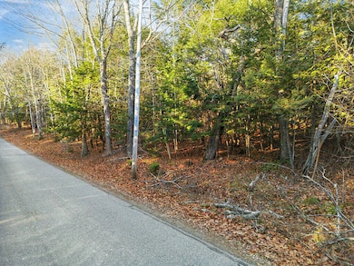 Lot 3-1 Bryant Rd, Unity, ME 04988 - photo 3
