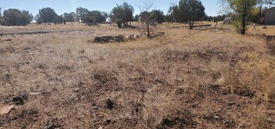 2237 N Luana Dr, Williams, AZ 86046 - photo 2