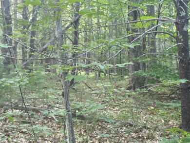 lots A & B Bald Hill Rd, Wells, ME 04090 - photo 6