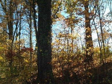 0 Volunteer Rd unit 867350, Rutledge, TN 37861 - photo 7