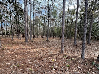 13980A Celeste Rd, Chunchula, AL 36521 - photo 3