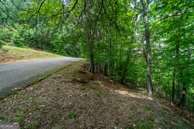 Driveway at road
