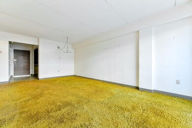 280 Harvard St unit 3B, Cambridge, MA 02139 - photo 4