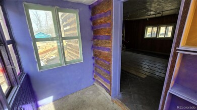 605 Argentine St, Georgetown, CO 80444 - photo 6