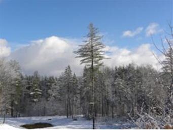 Lot 5 Vermont 100 unit 5, Ludlow, VT 05149 - photo 4