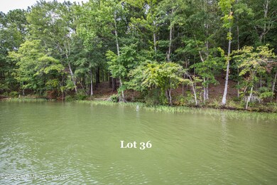 Mc Lot 36a