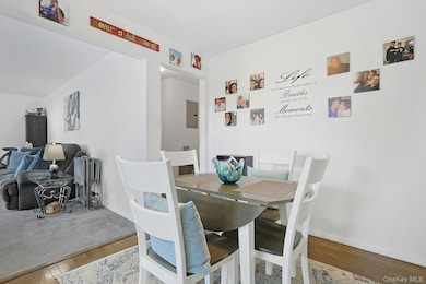 123 S Highland Ave unit B3, Ossining, NY 10562 - photo 6