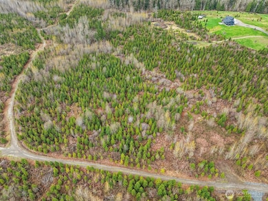 11 xx 344th Ave NE, Carnation, WA 98014 - photo 7