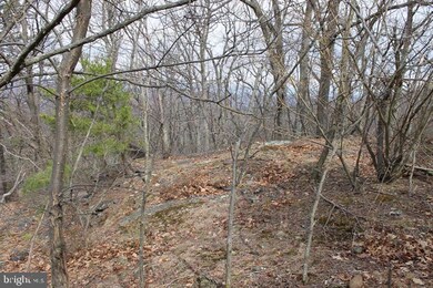 LOT 337 Nathaniel Mt Rd, Moorefield, WV 26836 - photo 4