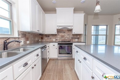 2510 Emerald Dove Dr, Temple, TX 76502 - photo 5