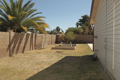 Back yard