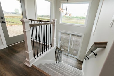 Walk Out Deck Area 2