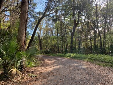 0 5th St E, Steinhatchee, FL 32359 - photo 4