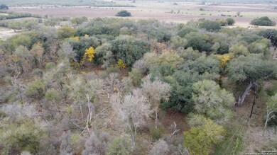 686 County Road 545, Hondo, TX 78861 - photo 6