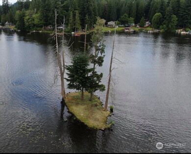 1 Island @ Lake Whitman, Graham, WA 98338 - photo 5