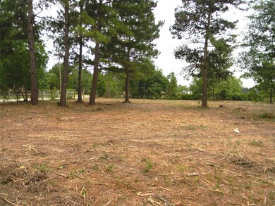 19827 Kimball Ln, Hockley, TX 77447 - photo 4