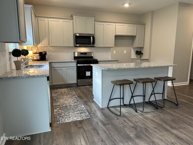 504 Hayley Marie Ln, Knoxville, TN 37920 - photo 5