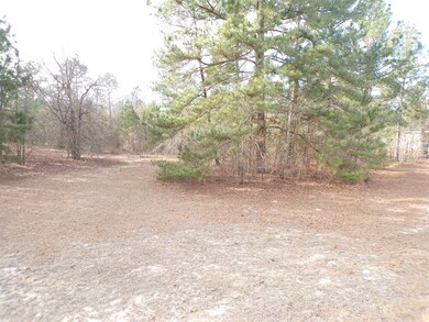 Great home site location